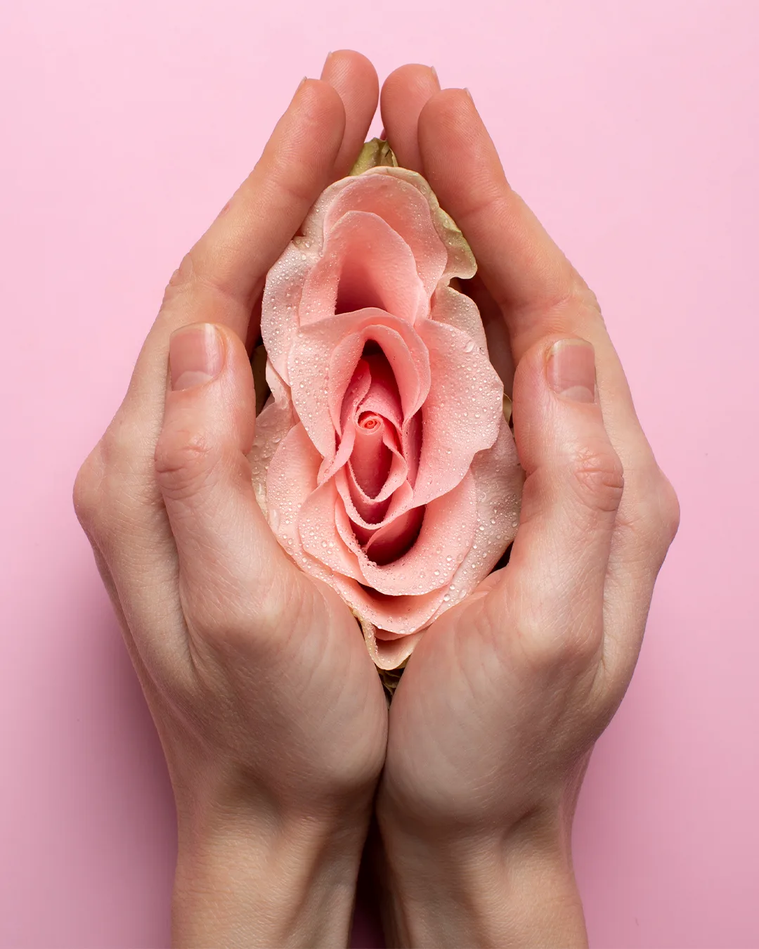 Mãos delicadas segurando uma flor rosa, símbolo de feminilidade e cuidado